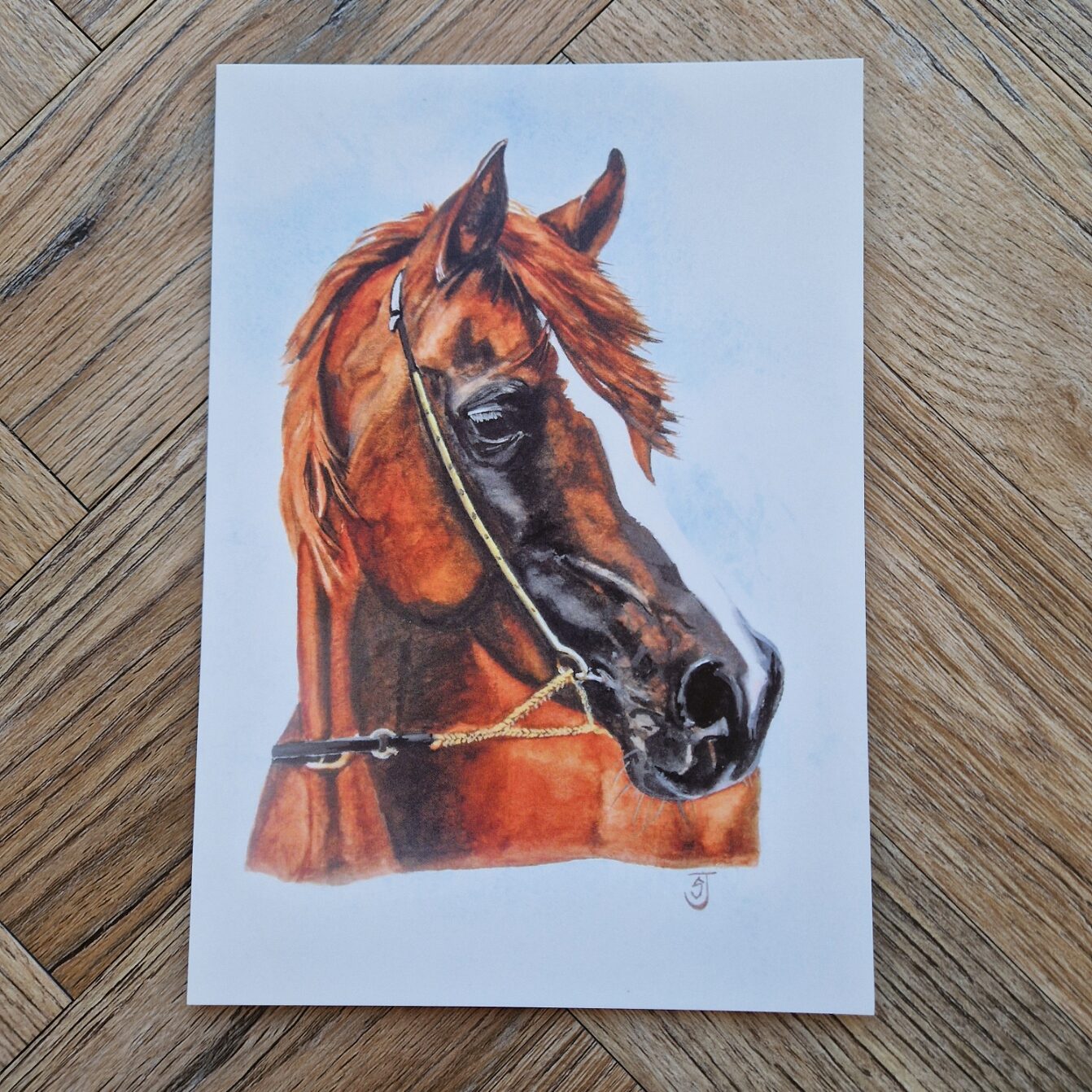 Horse Just to Say Greetings Card