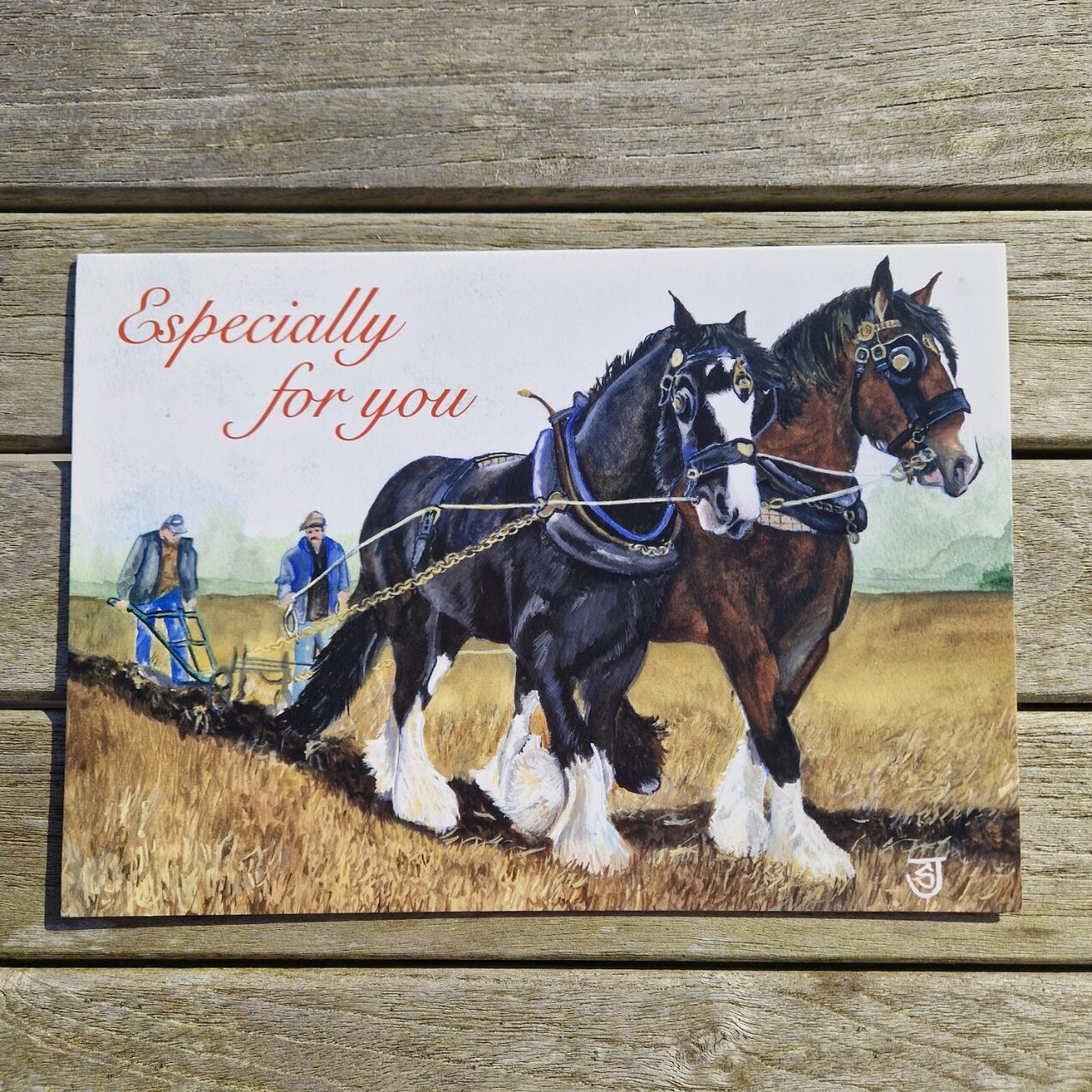 Shire Horses Greetings Card