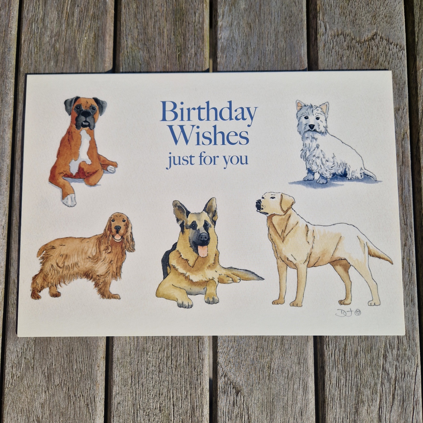 Dogs Greetings Card