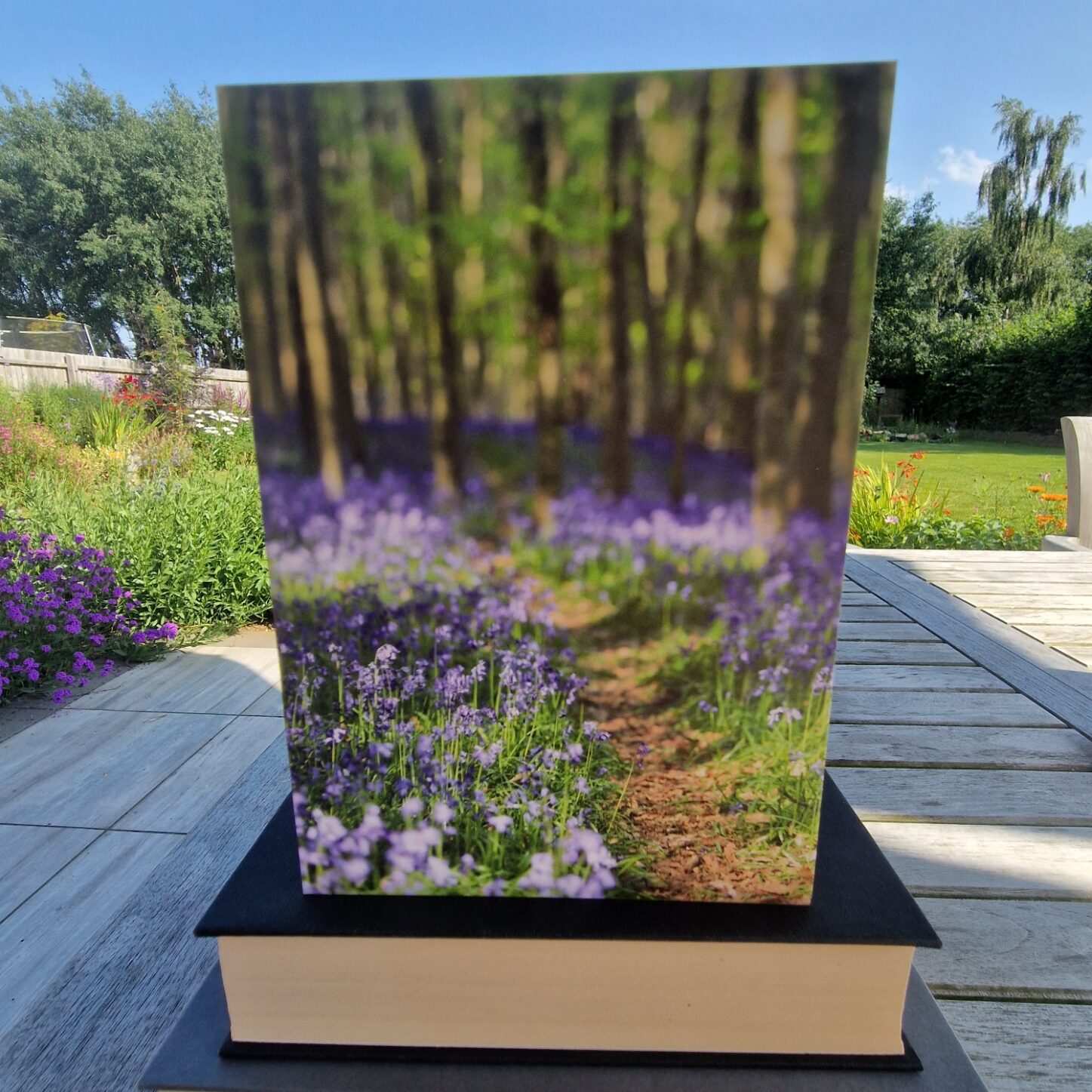 Bluebell Woods Just to Say Greetings Card