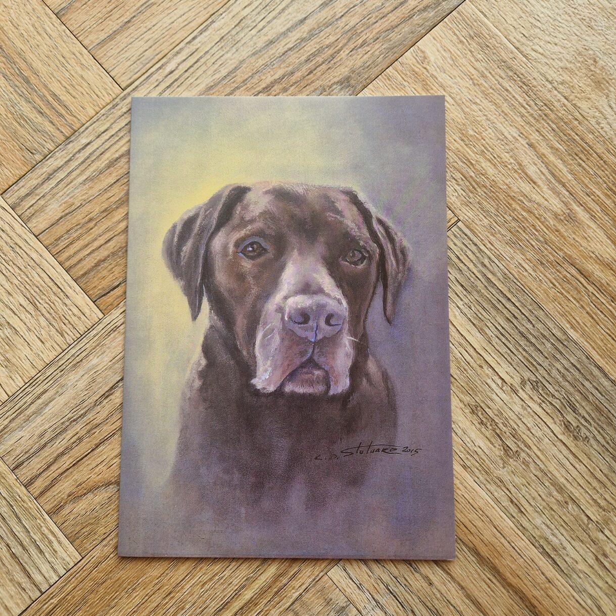 Chocolate Lab Greetings Card