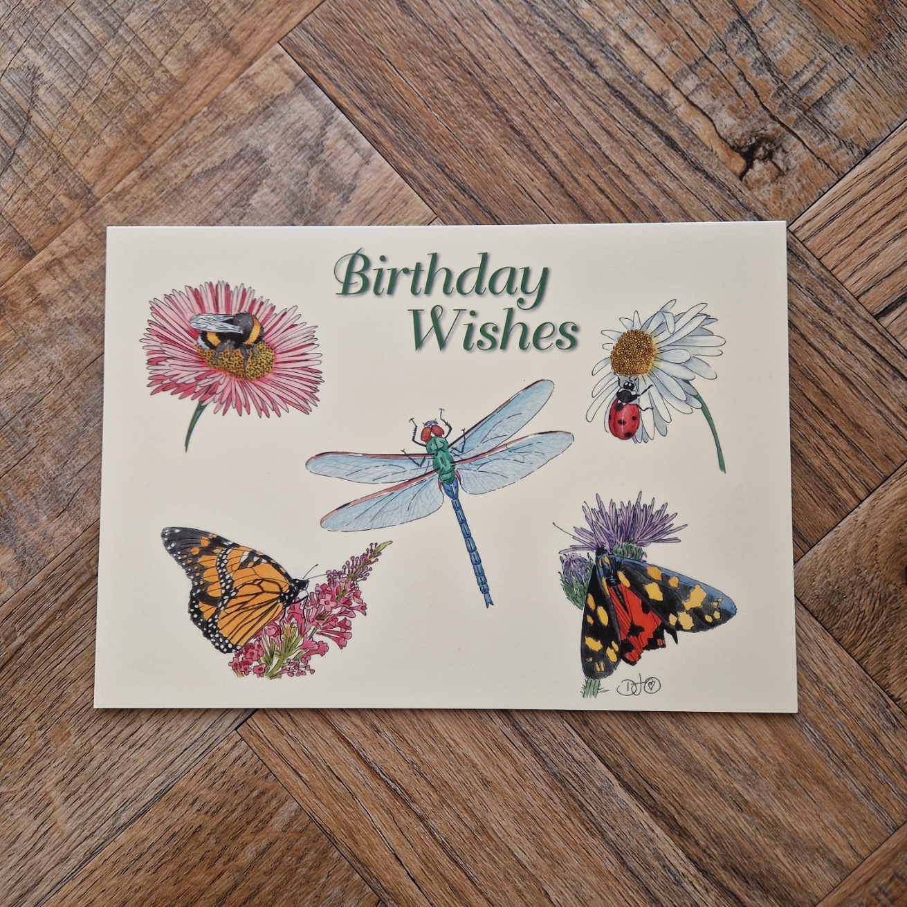Butterfly, Moth, Bee, Ladybird and Dragonfly Greetings Card
