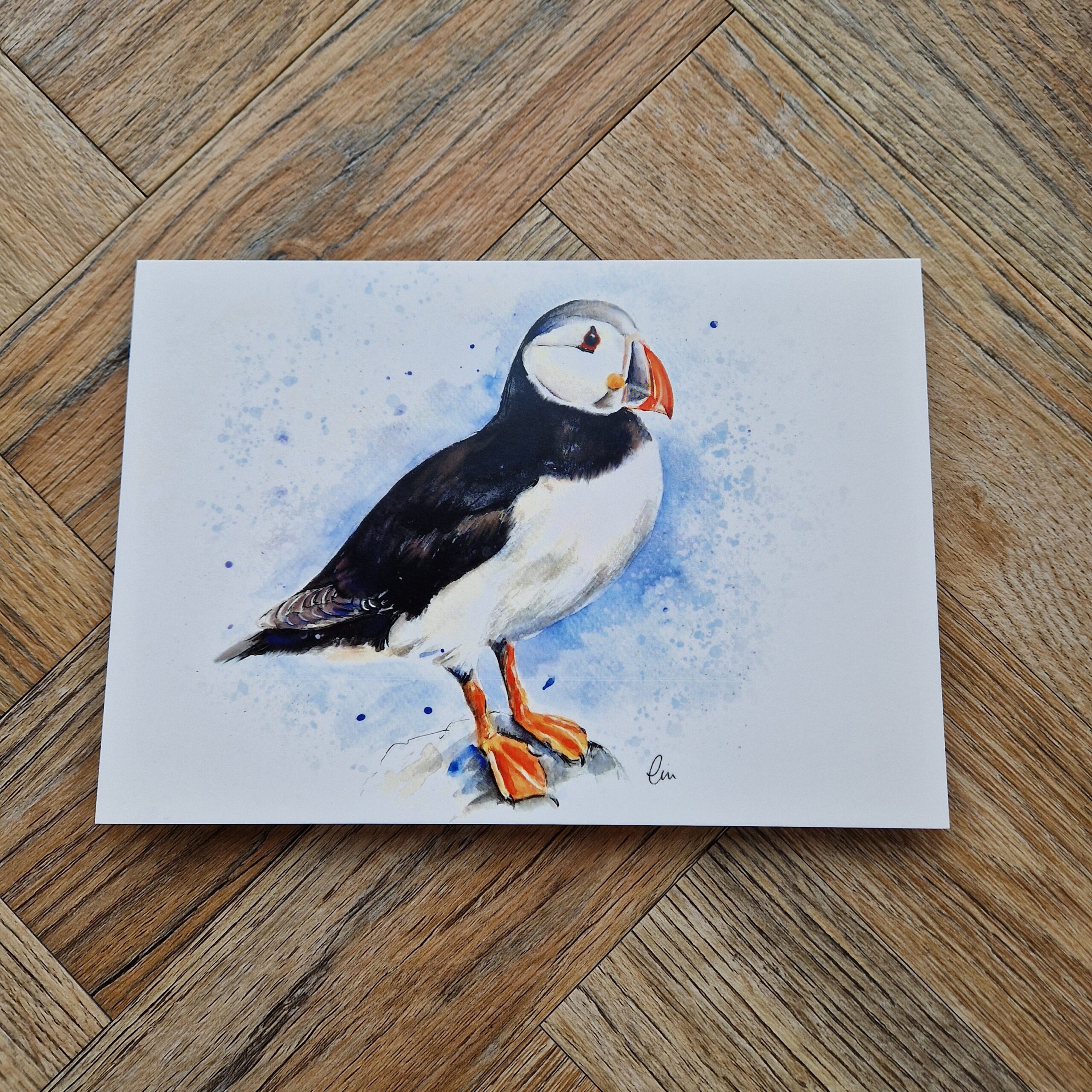 Puffin Blank Greetings Card